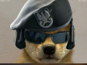 Meet your Posher, Soviet